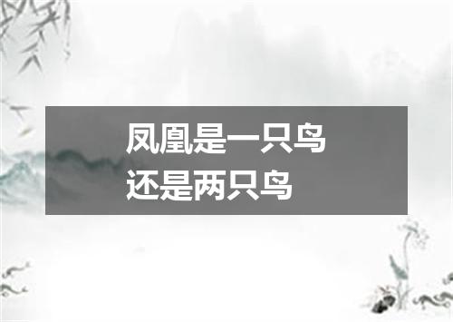 凤凰是一只鸟还是两只鸟