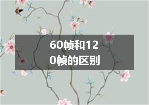 60帧和120帧的区别