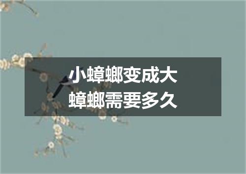 小蟑螂变成大蟑螂需要多久
