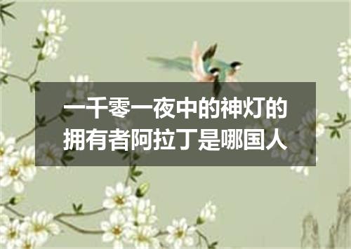 一千零一夜中的神灯的拥有者阿拉丁是哪国人