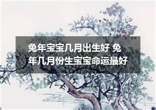 兔年宝宝几月出生好 兔年几月份生宝宝命运最好