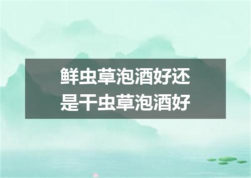 鲜虫草泡酒好还是干虫草泡酒好