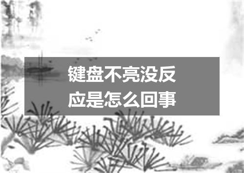 键盘不亮没反应是怎么回事