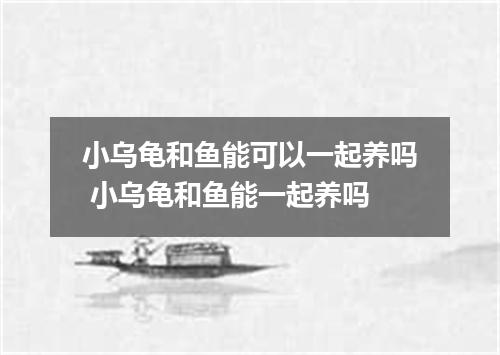 小乌龟和鱼能可以一起养吗 小乌龟和鱼能一起养吗