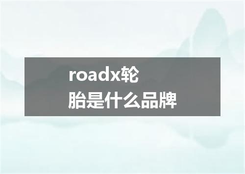 roadx轮胎是什么品牌