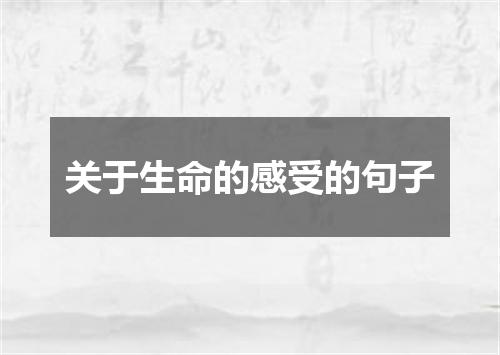 关于生命的感受的句子