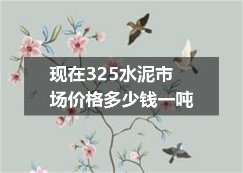 现在325水泥市场价格多少钱一吨