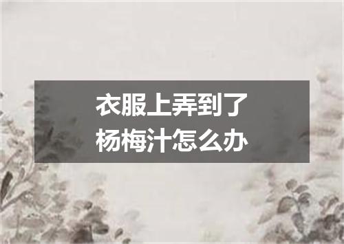 衣服上弄到了杨梅汁怎么办