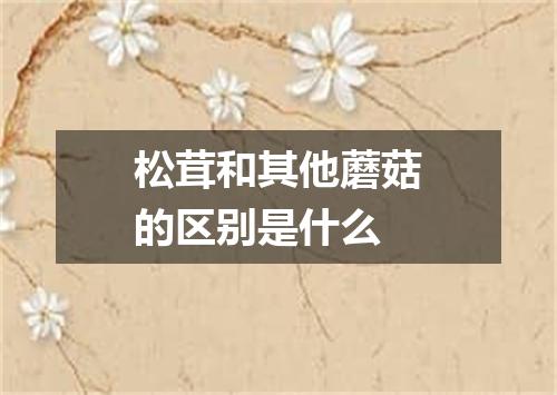 松茸和其他蘑菇的区别是什么