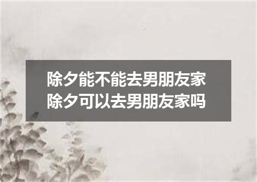 除夕能不能去男朋友家 除夕可以去男朋友家吗