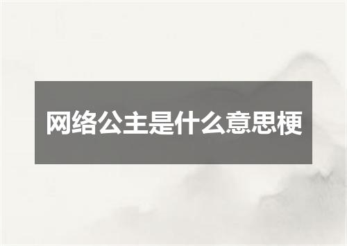 网络公主是什么意思梗