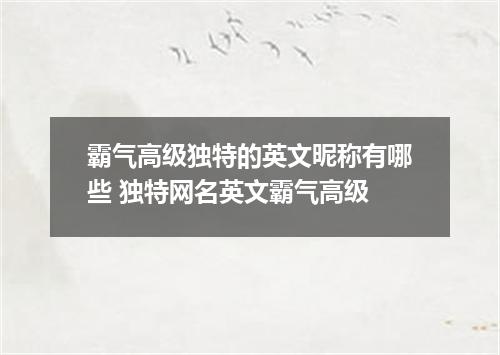 霸气高级独特的英文昵称有哪些 独特网名英文霸气高级