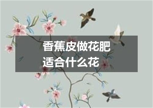 香蕉皮做花肥适合什么花