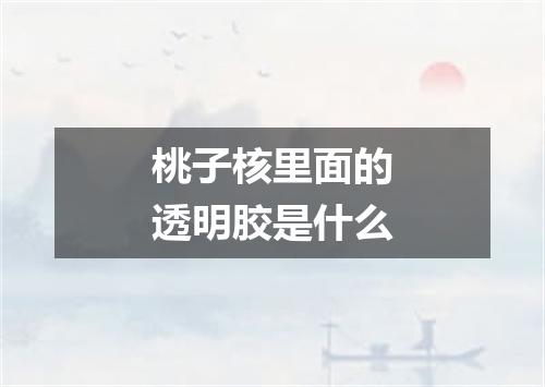 桃子核里面的透明胶是什么