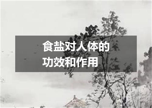 食盐对人体的功效和作用