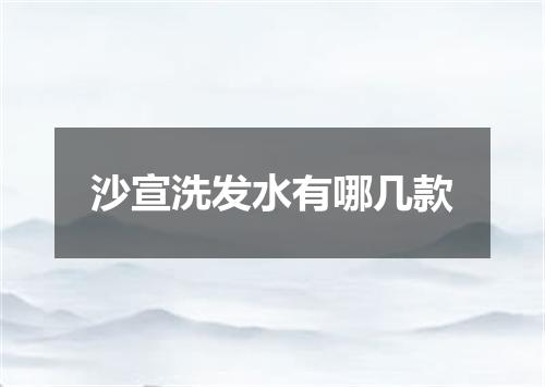 沙宣洗发水有哪几款