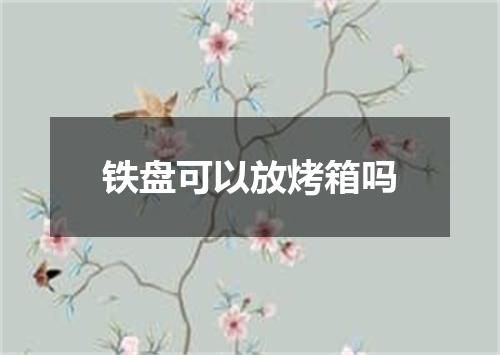 铁盘可以放烤箱吗