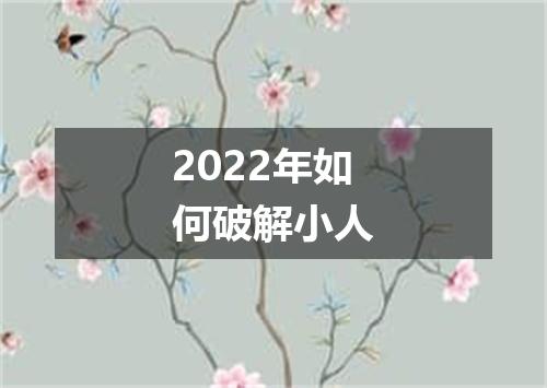 2022年如何破解小人