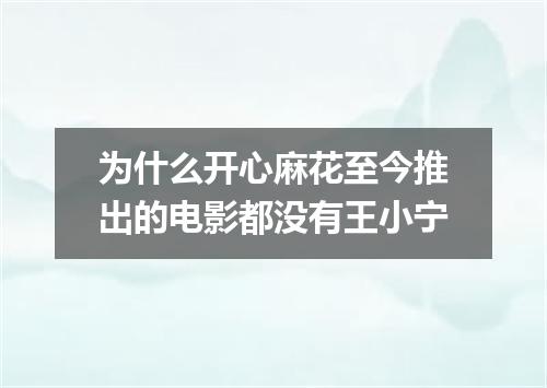 为什么开心麻花至今推出的电影都没有王小宁