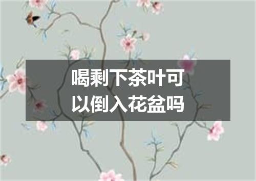 喝剩下茶叶可以倒入花盆吗