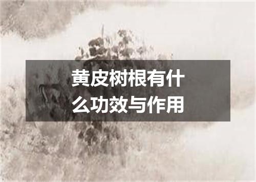 黄皮树根有什么功效与作用