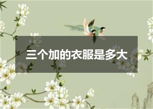 三个加的衣服是多大