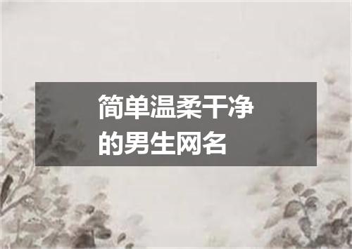 简单温柔干净的男生网名