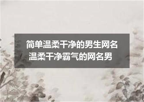 简单温柔干净的男生网名 温柔干净霸气的网名男