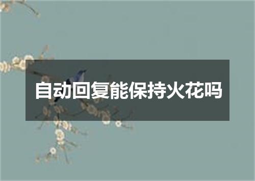 自动回复能保持火花吗