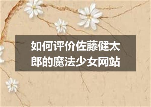 如何评价佐藤健太郎的魔法少女网站