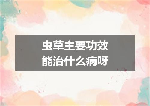 虫草主要功效能治什么病呀