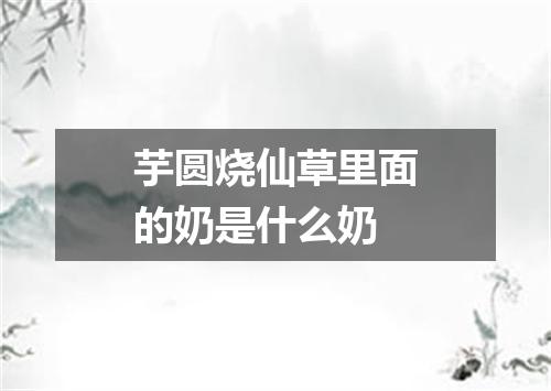 芋圆烧仙草里面的奶是什么奶