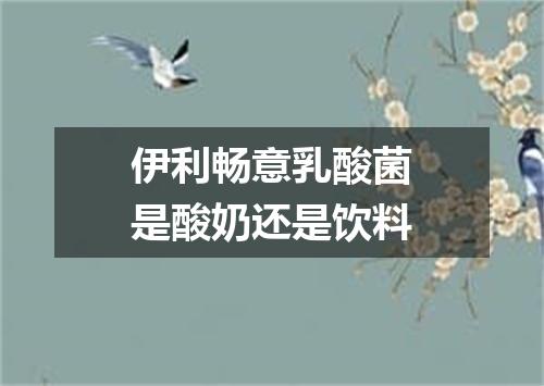伊利畅意乳酸菌是酸奶还是饮料