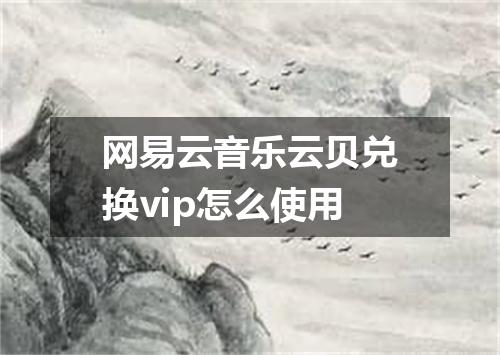 网易云音乐云贝兑换vip怎么使用