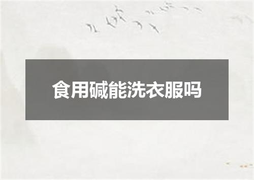 食用碱能洗衣服吗
