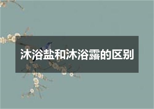 沐浴盐和沐浴露的区别