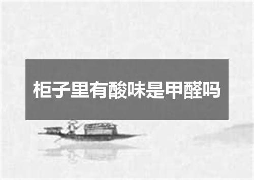 柜子里有酸味是甲醛吗