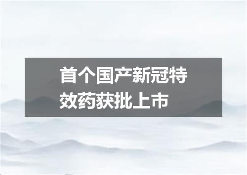 首个国产新冠特效药获批上市
