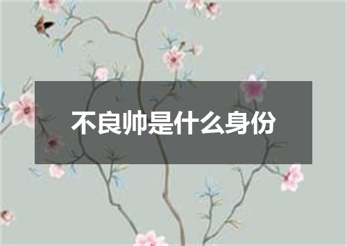 不良帅是什么身份