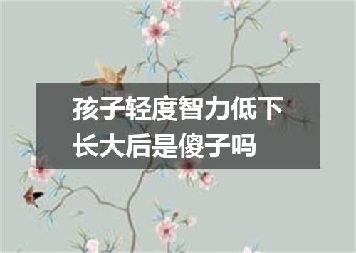 孩子轻度智力低下长大后是傻子吗