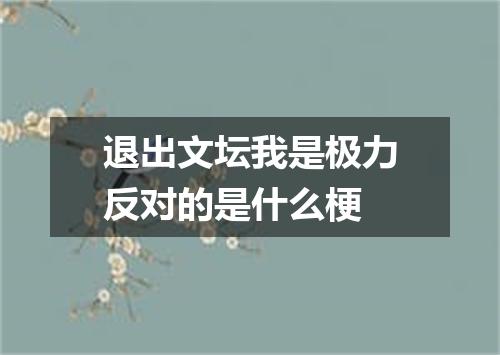 退出文坛我是极力反对的是什么梗