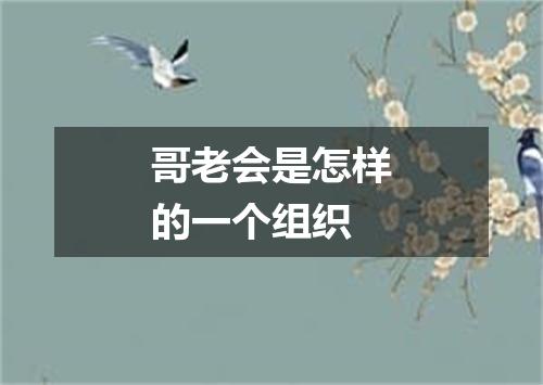 哥老会是怎样的一个组织