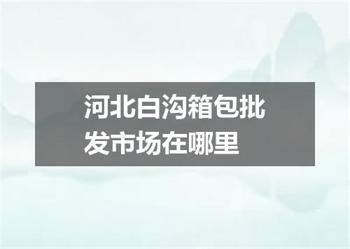 河北白沟箱包批发市场在哪里