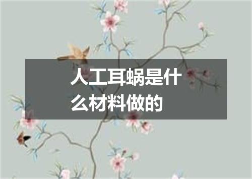 人工耳蜗是什么材料做的