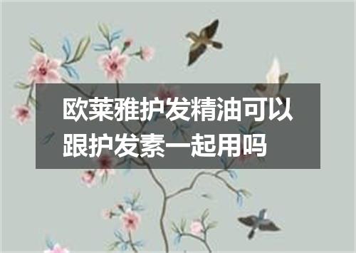 欧莱雅护发精油可以跟护发素一起用吗