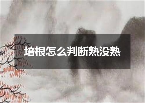 培根怎么判断熟没熟