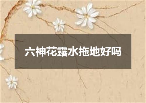 六神花露水拖地好吗