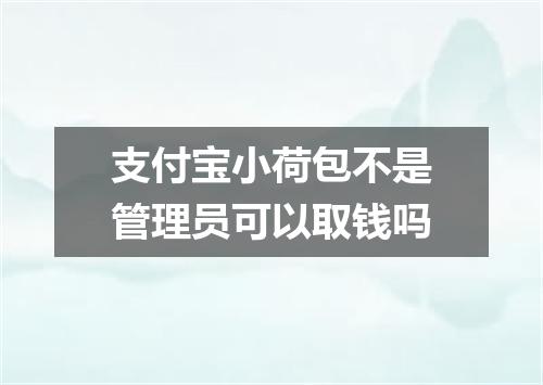 支付宝小荷包不是管理员可以取钱吗
