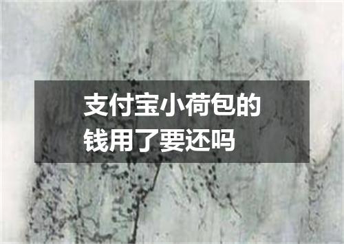 支付宝小荷包的钱用了要还吗