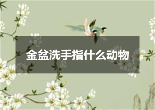 金盆洗手指什么动物